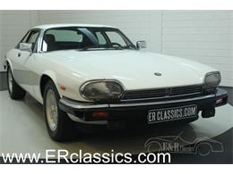 1988 Jaguar XJS (CC-1344520) for sale in Waalwijk, Noord-Brabant