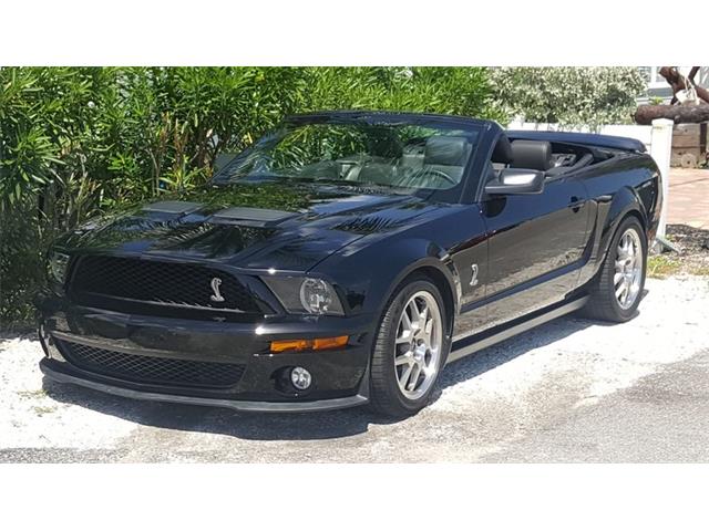 2008 Shelby GT500 (CC-1345082) for sale in Sarasota, Florida