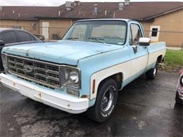 1977 Chevrolet Pickup (CC-1345563) for sale in Cadillac, Michigan