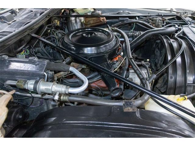 1973 Chevrolet Monte Carlo (CC-1349978) for sale in Kentwood, Michigan