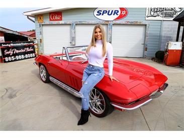 1966 Chevrolet Corvette (CC-1351094) for sale in Lenoir City, Tennessee