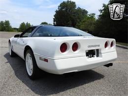 1988 Chevrolet Corvette (CC-1351279) for sale in O'Fallon, Illinois