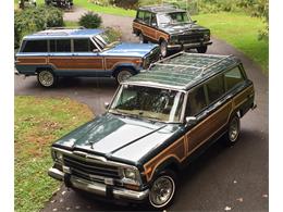 1991 Jeep Grand Wagoneer (CC-1351946) for sale in Bemus Point, New York