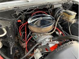 1981 Chevrolet C10 (CC-1352048) for sale in Punta Gorda, Florida