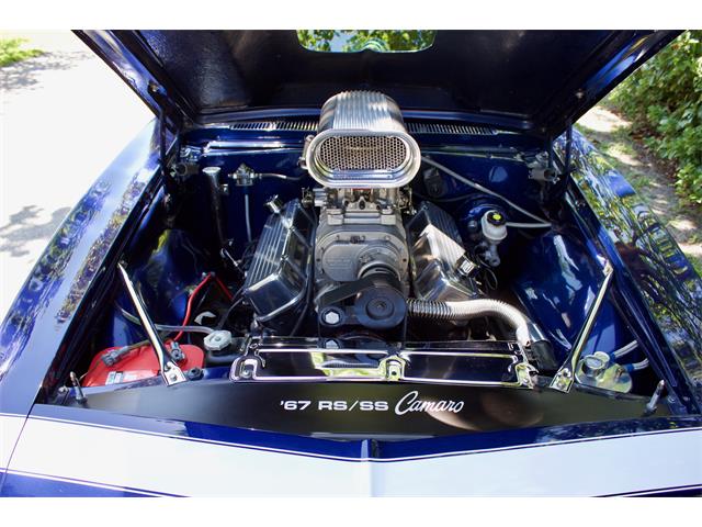 1967 Chevrolet Camaro RS/SS (CC-1350205) for sale in EUSTIS, Florida