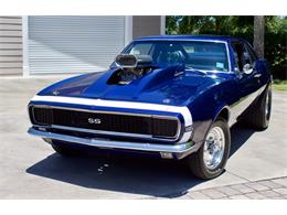 1967 Chevrolet Camaro RS/SS (CC-1350205) for sale in EUSTIS, Florida
