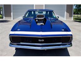1967 Chevrolet Camaro RS/SS (CC-1350205) for sale in EUSTIS, Florida
