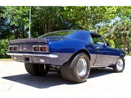 1967 Chevrolet Camaro RS/SS (CC-1350205) for sale in EUSTIS, Florida