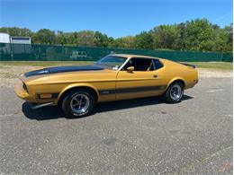 1973 Ford Mustang (CC-1352981) for sale in West Babylon, New York