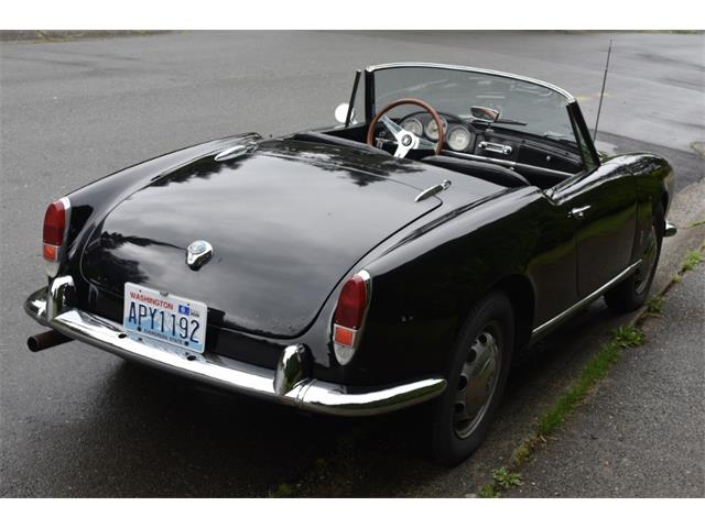 1962 Alfa Romeo Giulietta Spider (CC-1353790) for sale in Astoria, New York