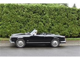 1962 Alfa Romeo Giulietta Spider (CC-1353790) for sale in Astoria, New York