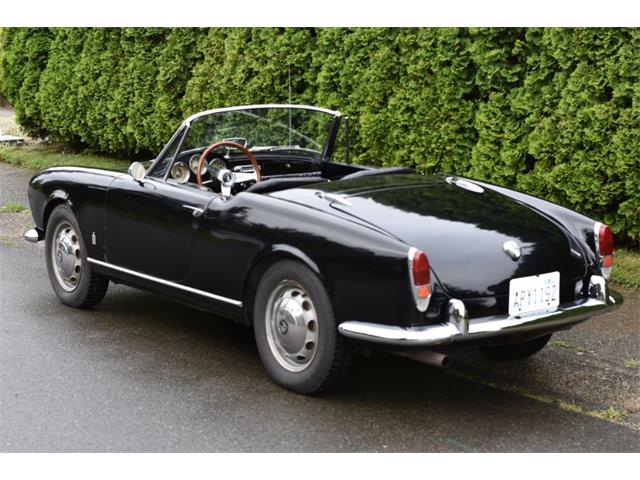 1962 Alfa Romeo Giulietta Spider (CC-1353790) for sale in Astoria, New York