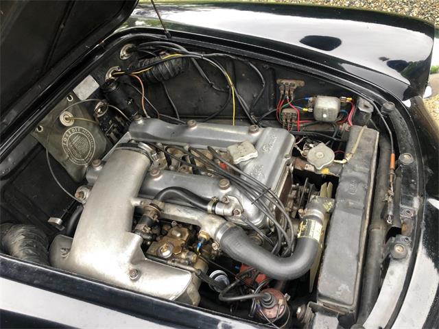 1962 Alfa Romeo Giulietta Spider (CC-1353790) for sale in Astoria, New York
