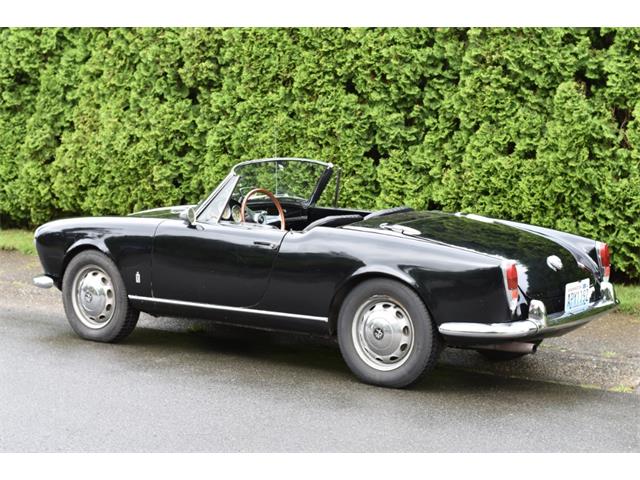 1962 Alfa Romeo Giulietta Spider (CC-1353790) for sale in Astoria, New York