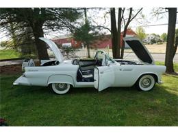 1955 Ford Thunderbird (CC-1350394) for sale in Monroe, New Jersey