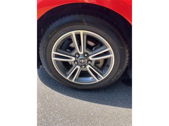 2010 Ford Mustang (CC-1354133) for sale in MILFORD, Ohio