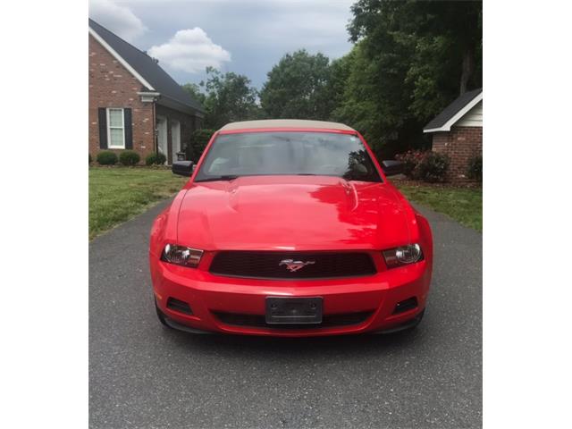 2010 Ford Mustang (CC-1354133) for sale in MILFORD, Ohio