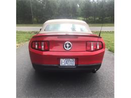 2010 Ford Mustang (CC-1354133) for sale in MILFORD, Ohio