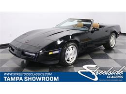 1989 Chevrolet Corvette (CC-1354437) for sale in Lutz, Florida