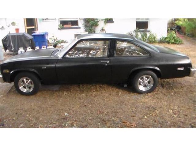 1979 Chevrolet Nova (CC-1355612) for sale in Cadillac, Michigan