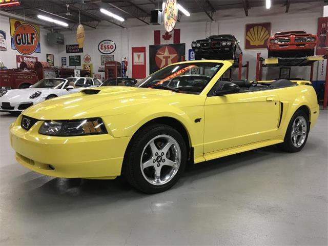 2003 Ford Mustang (CC-1356258) for sale in Dundas, Ontario