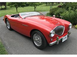 1954 Austin-Healey 100M (CC-1356528) for sale in Winchester, Virginia