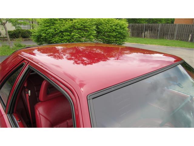 1982 Ford Mustang (CC-1350706) for sale in Milford, Ohio
