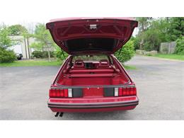 1982 Ford Mustang (CC-1350706) for sale in Milford, Ohio