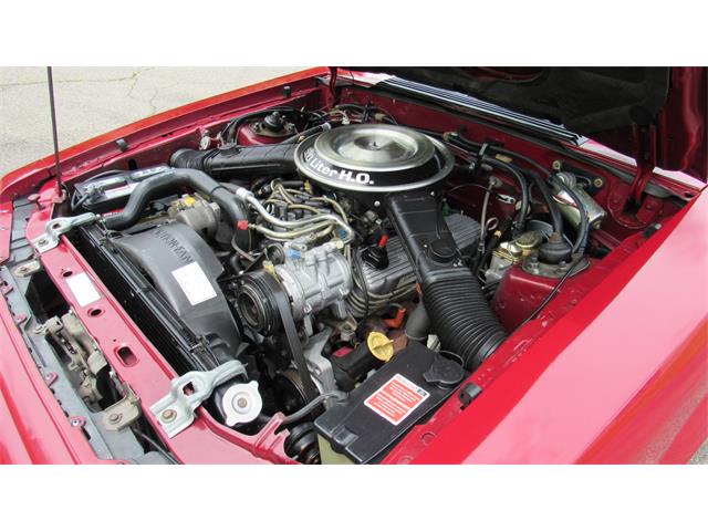 1982 Ford Mustang (CC-1350706) for sale in Milford, Ohio