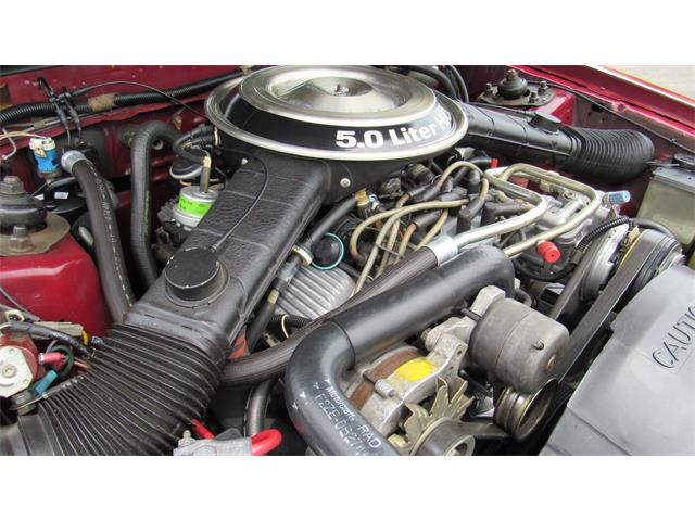 1982 Ford Mustang (CC-1350706) for sale in Milford, Ohio