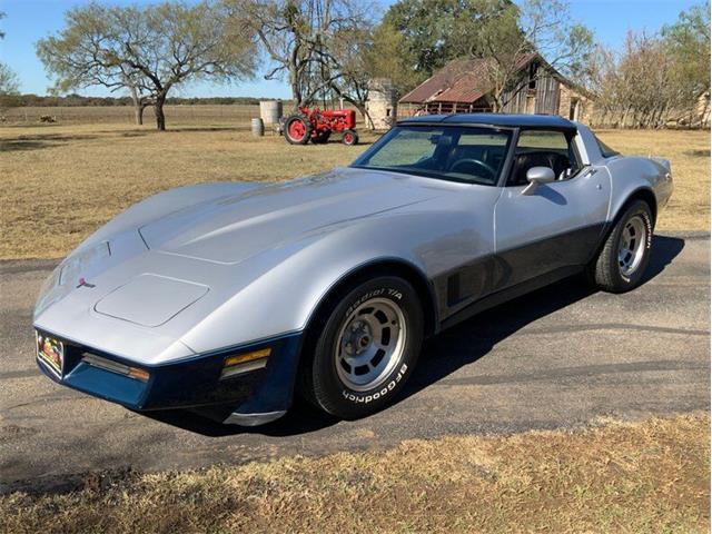 1981 Chevrolet Corvette (CC-1357135) for sale in Fredericksburg, Texas