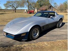 1981 Chevrolet Corvette (CC-1357135) for sale in Fredericksburg, Texas