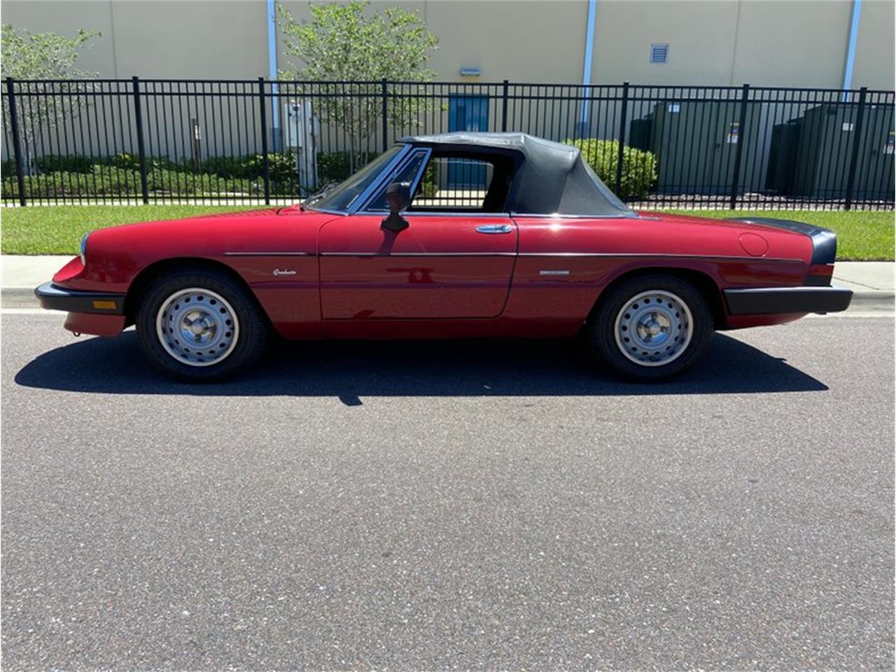 1986 Alfa Romeo Graduate for Sale | ClassicCars.com | CC-1357305
