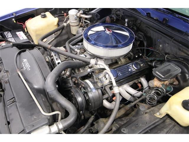 1981 Chevrolet Malibu (CC-1357599) for sale in Lutz, Florida