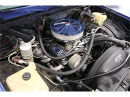 1981 Chevrolet Malibu (CC-1357599) for sale in Lutz, Florida
