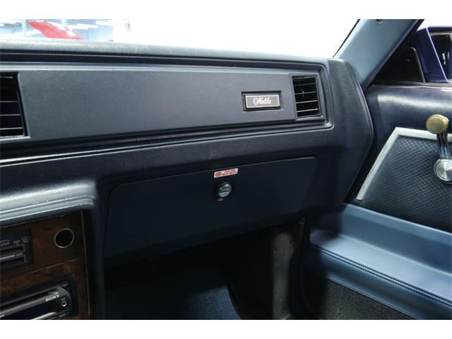 1981 Chevrolet Malibu (CC-1357599) for sale in Lutz, Florida