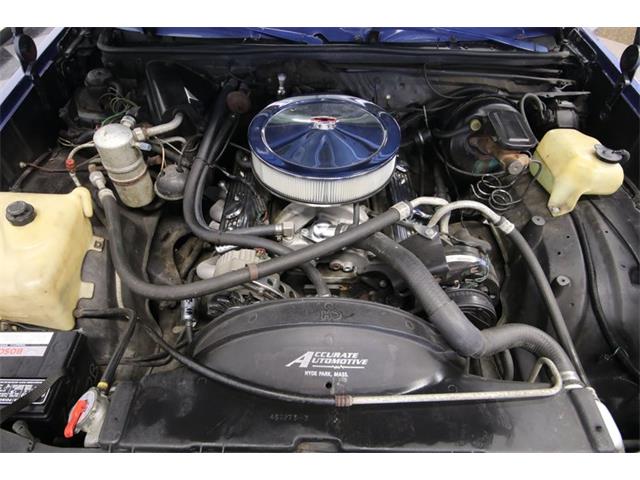 1981 Chevrolet Malibu (CC-1357599) for sale in Lutz, Florida