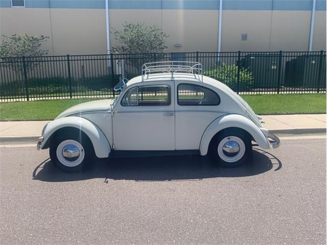 1957 Volkswagen Beetle (CC-1358644) for sale in Clearwater, Florida