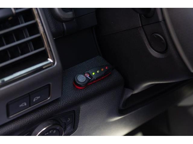 2019 Ford F150 (CC-1359976) for sale in Miami, Florida
