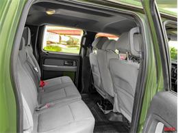 2014 Ford F150 (CC-1361096) for sale in Fort Lauderdale, Florida