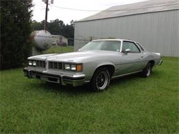 1976 Pontiac LeMans (CC-1361562) for sale in Cadillac, Michigan