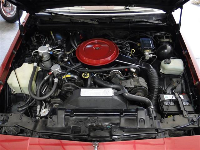1987 Oldsmobile Cutlass Supreme (CC-1361884) for sale in Palmetto, Florida