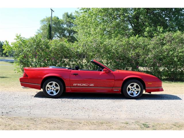 1988 Chevrolet Camaro IROC Z28 (CC-1362058) for sale in Columbiaville, Michigan