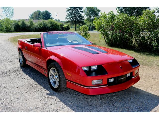 1988 Chevrolet Camaro IROC Z28 (CC-1362058) for sale in Columbiaville, Michigan