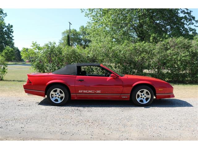 1988 Chevrolet Camaro IROC Z28 (CC-1362058) for sale in Columbiaville, Michigan