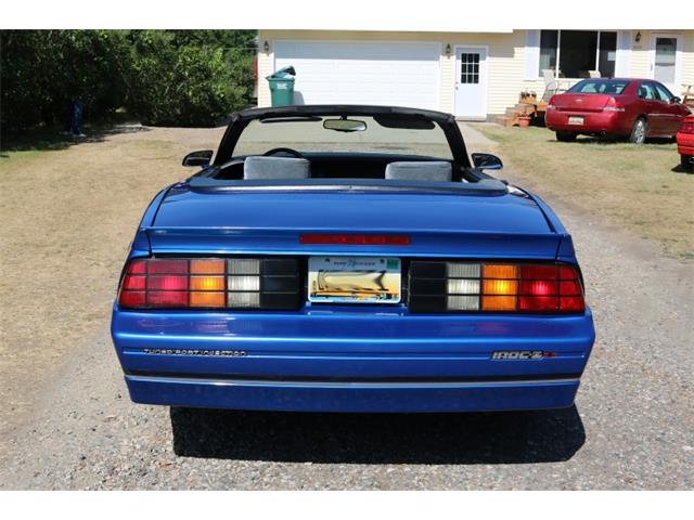1989 Chevrolet Camaro IROC Z28 (CC-1362215) for sale in Columbiaville, Michigan