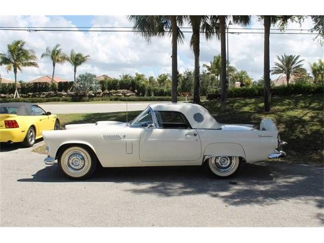 1956 Ford Thunderbird (CC-1362910) for sale in Cadillac, Michigan
