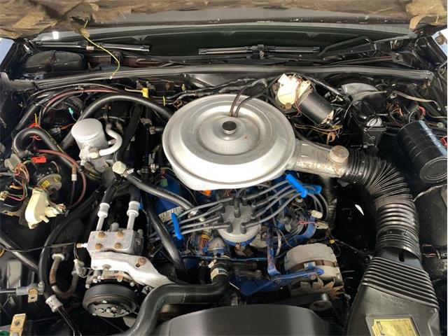 1980 Lincoln Town Car (CC-1362949) for sale in Palmetto, Florida