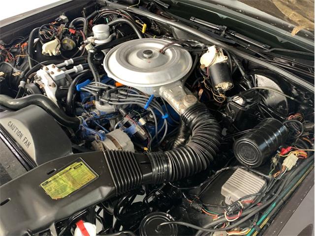 1980 Lincoln Town Car (CC-1362949) for sale in Palmetto, Florida