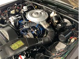 1980 Lincoln Town Car (CC-1362949) for sale in Palmetto, Florida